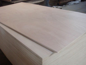 NS White Ash Film faced plywood 2440 mm x 2135 mm x 25 mm