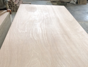 Sanded Eucalyptus Exterior Plywood 2440 mm x 1220 mm x 8 mm