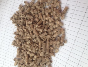 Siberian Pine Wood pellets 6 mm x 10 mm