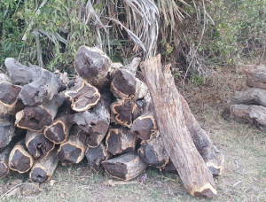 50 мм x 400 мм x 2200 мм Слэб Гренадильо (Эбене ду Мозамбик, Чёрное дерево)
