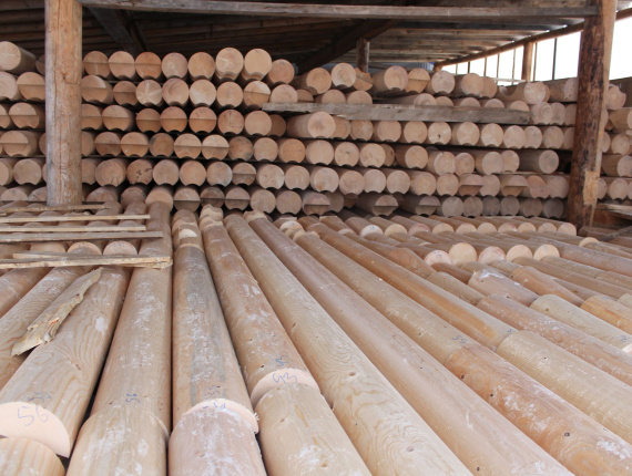 Zylindrisch rundholz Sibirische Kiefer 300 mm x 4 m
