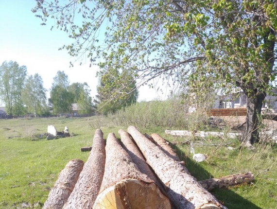 Swiss pine Sawlog 30 mm x 9 m