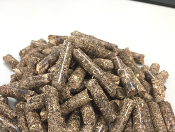 Eucalyptus Wood pellets 6 mm x 30 mm