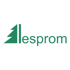 Lesprom Network