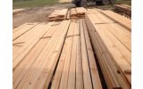 El Batel for Import Wood