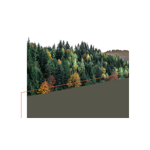 Wolf Qualitätsholz Sägeprodukte GmbH