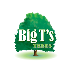 Big T's Trees