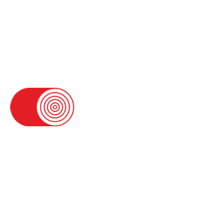 Centro Legno Italia srl