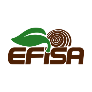 Efisa