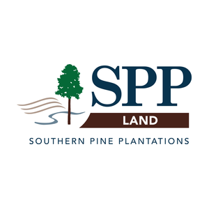 Southern Pine Plantations - Montana