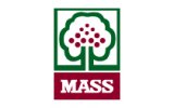 Mass AS