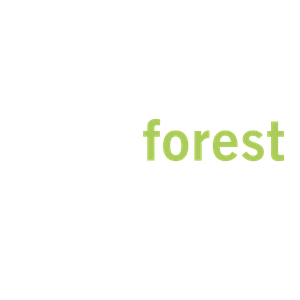 Arbor Forest Products Ltd