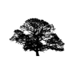 Tate Joinery Limited