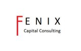 Fenix Capital Consulting
