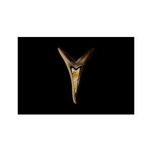 YPXYLON - Die Parkettagentur