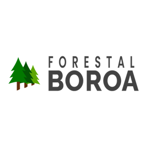 Forestal Boroa