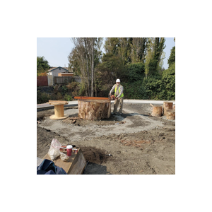 Woodfirst Sustainable Enterprises