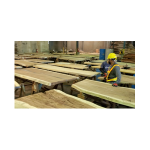 Live Edge Slabs Costa Rica