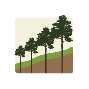 Southeastern Timberland, Inc.