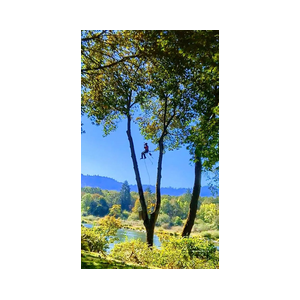 Happy Hills Tree Service, LLC