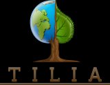 Tilia