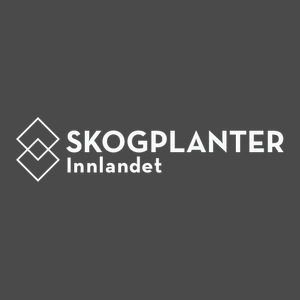 Skogplanter Innlandet AS