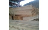 Lesinvest