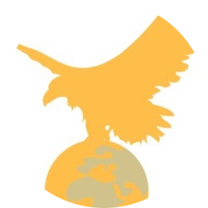 Mira Auction Srl