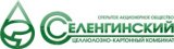 Selenginsk Pulp & Cardboard Mill