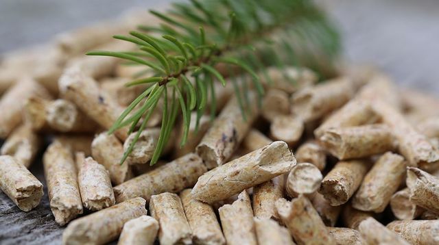 В ноябре 2025 г. цена топливных пеллет в Швейцарии выросла на 5,9%