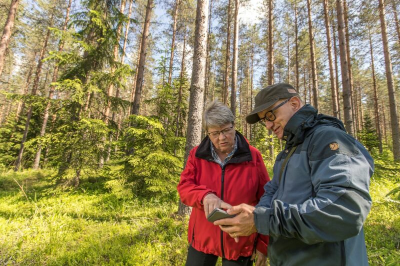 Tornator plans to increase the carbon sequestration of forests by 20% in 2021—2030