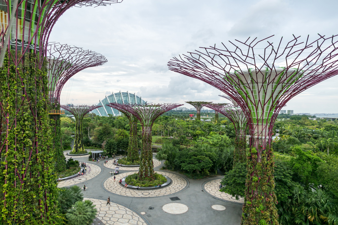В октябре в Сингапуре состоится международная конференция «Мировой рынок щепы и биомассы»
