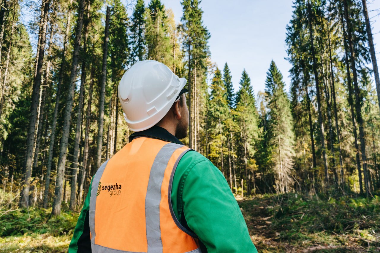 В 1 кв. 2024 г. выручка Segezha Group выросла на 22%