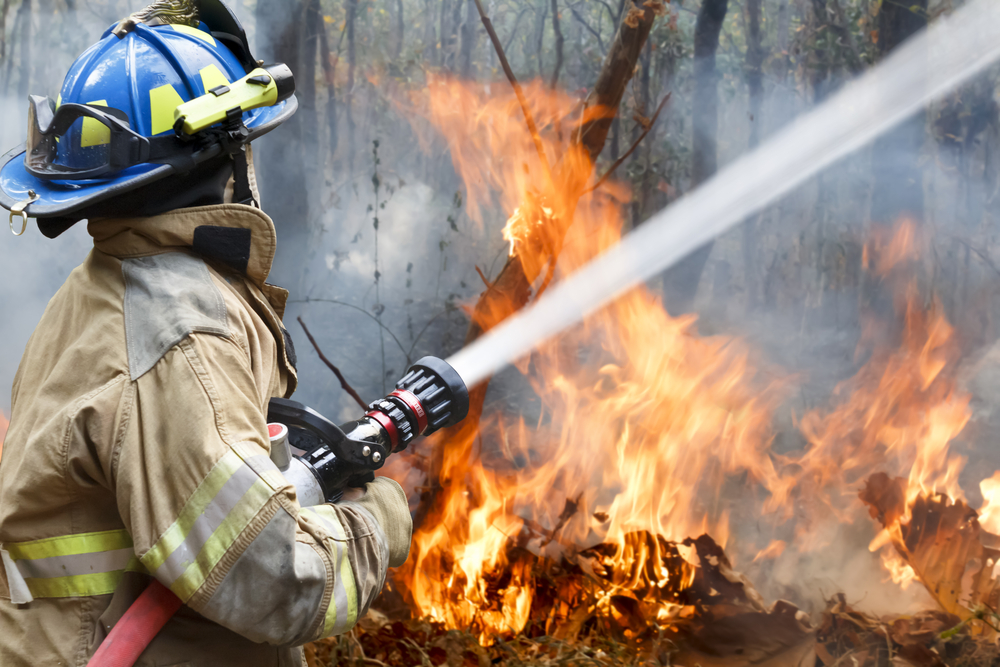British Columbia funds 64 projects to reduce wildfire risk