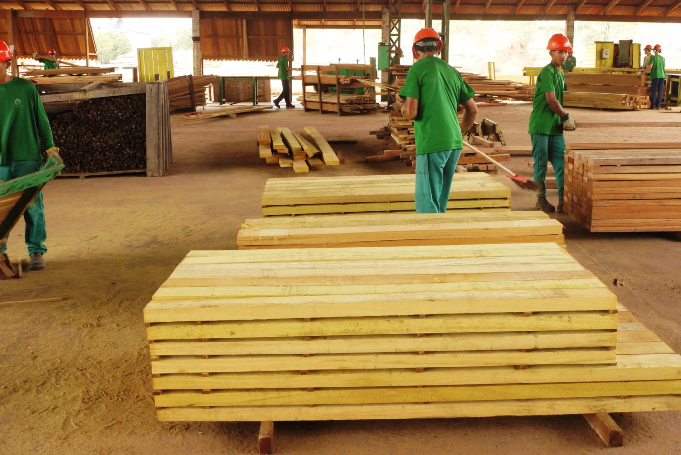 Precious Woods" net revenues down 15%