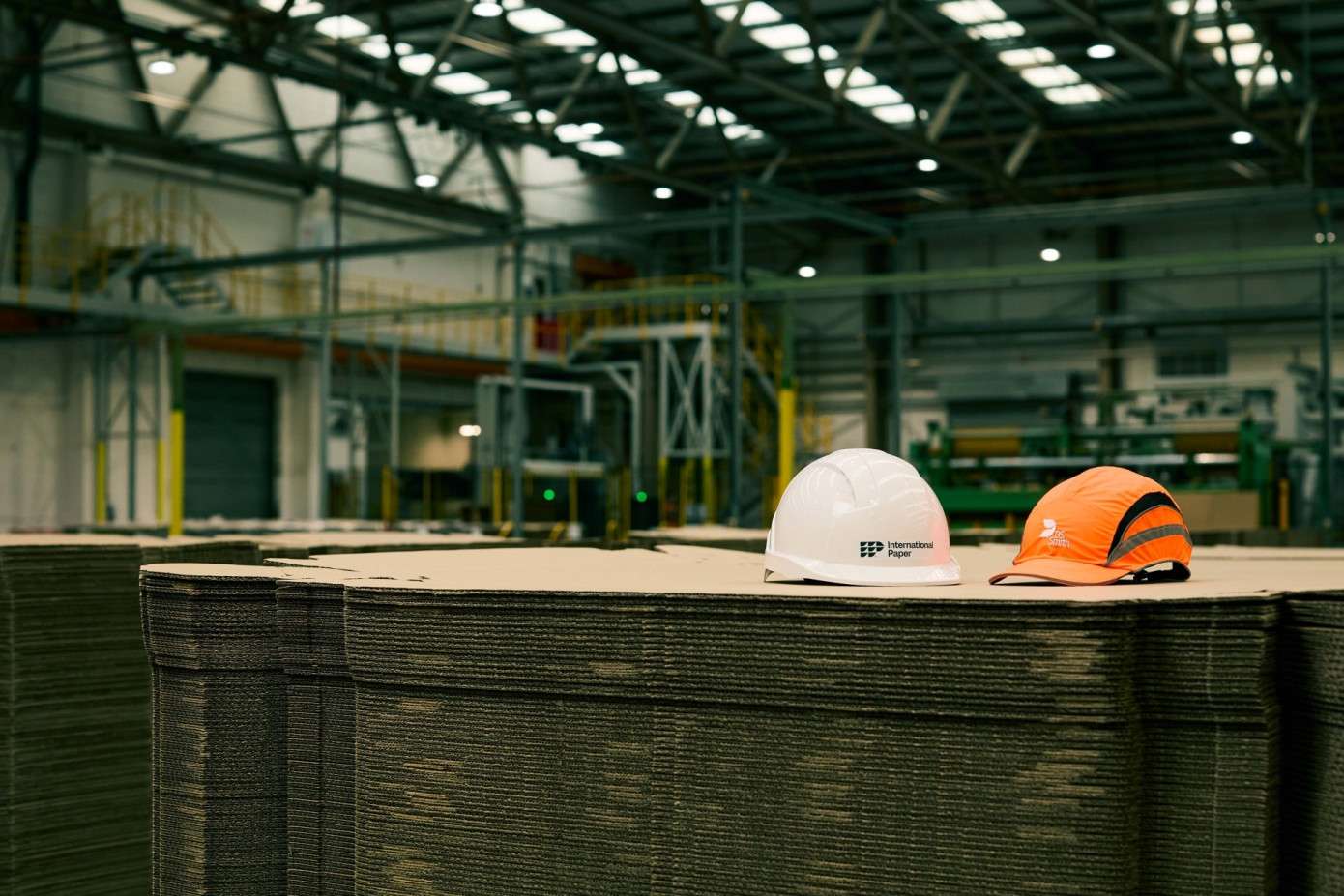 International Paper создаст две независимые публичные компании