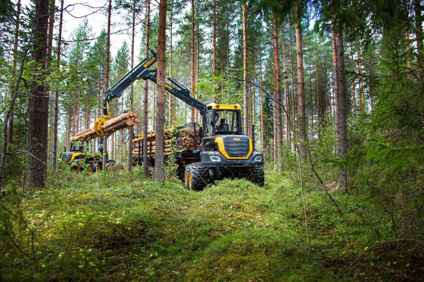 В 1 кв. 2025 г. продажи Ponsse выросли на 9,3%