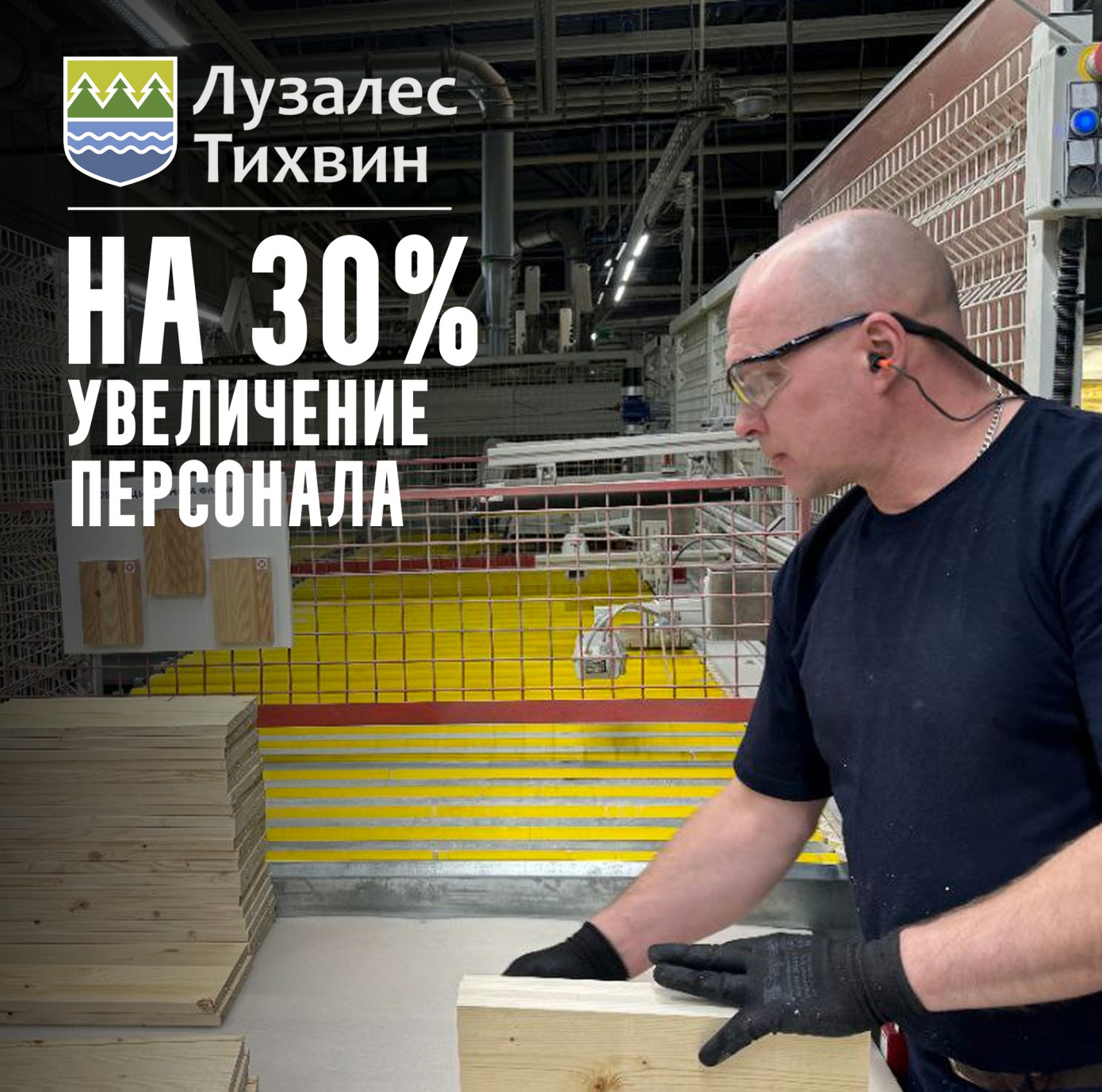 «Лузалес-Тихвин» увеличила численность персонала