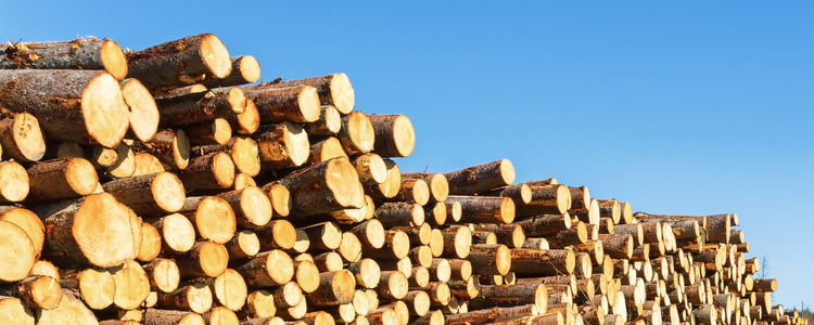 В 2019 г. цена балансовой древесины в Швеции выросла на 7,6%