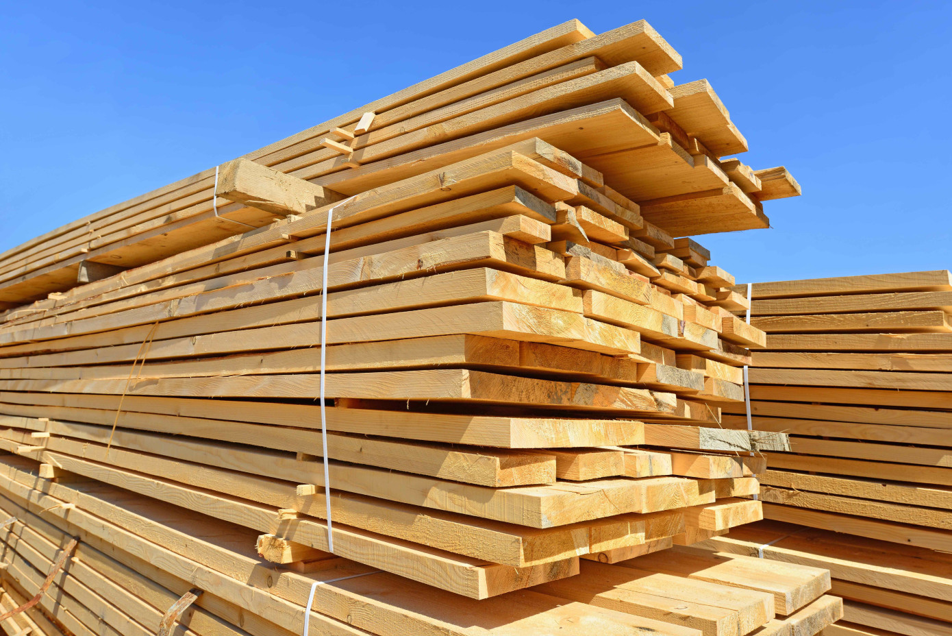 Madison’s Lumber Prices Index up 2.5%