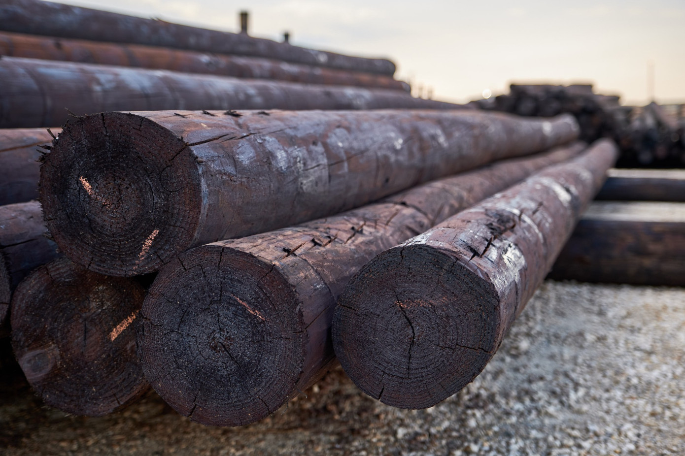 Koppers" Q3 adjusted EBITDA falls 8% on persistent end-market softness