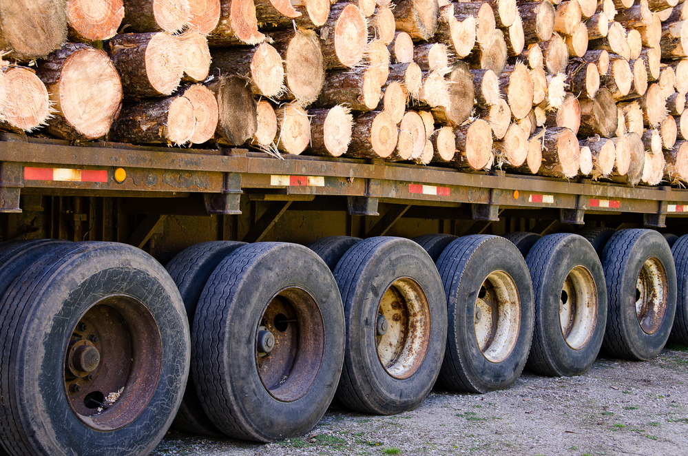 Finnish roundwood removals down 14% in November