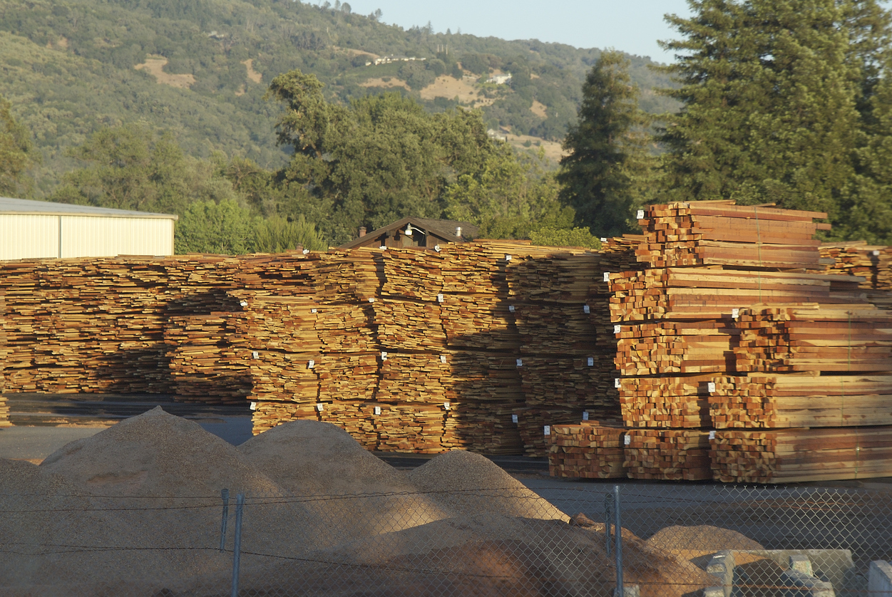 U.S. softwood lumber PPI rises 12.3% in April