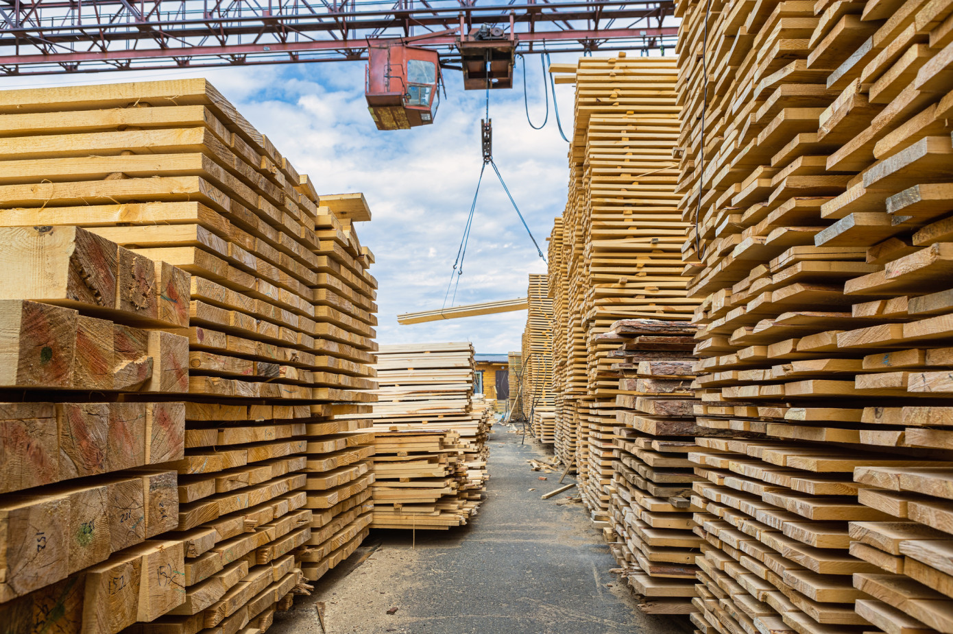 In February, price for lumber exported from New Zealand contracts 16%