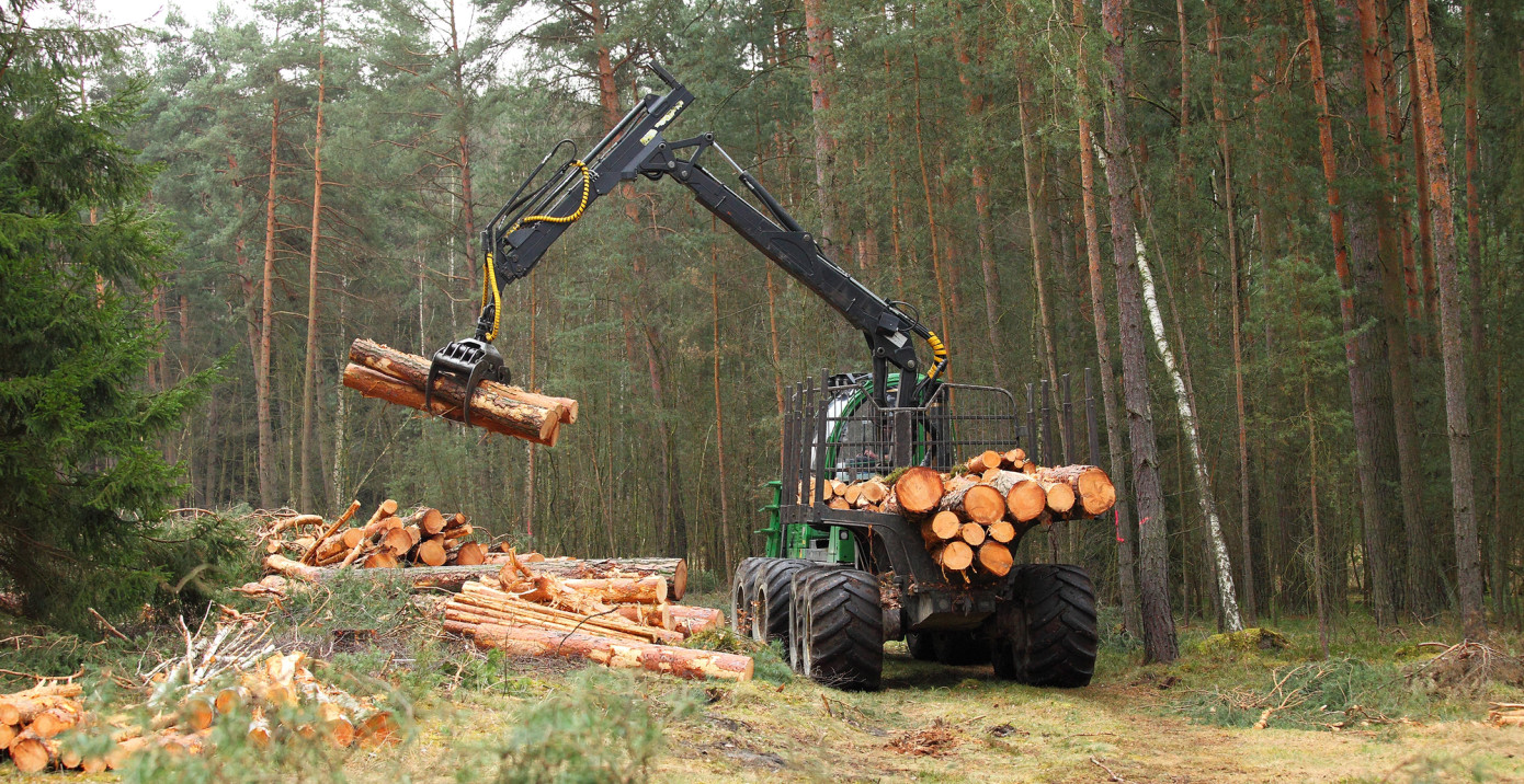 EU Parliament grants companies one-year extension to comply with deforestation law