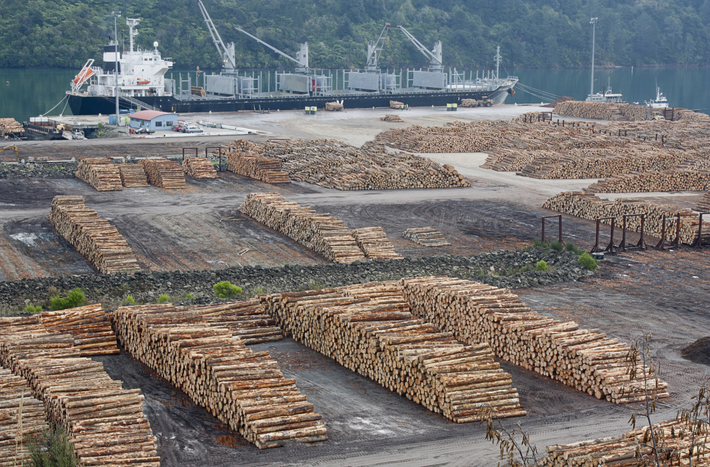 China log inventory climbs as steady port off-take continues