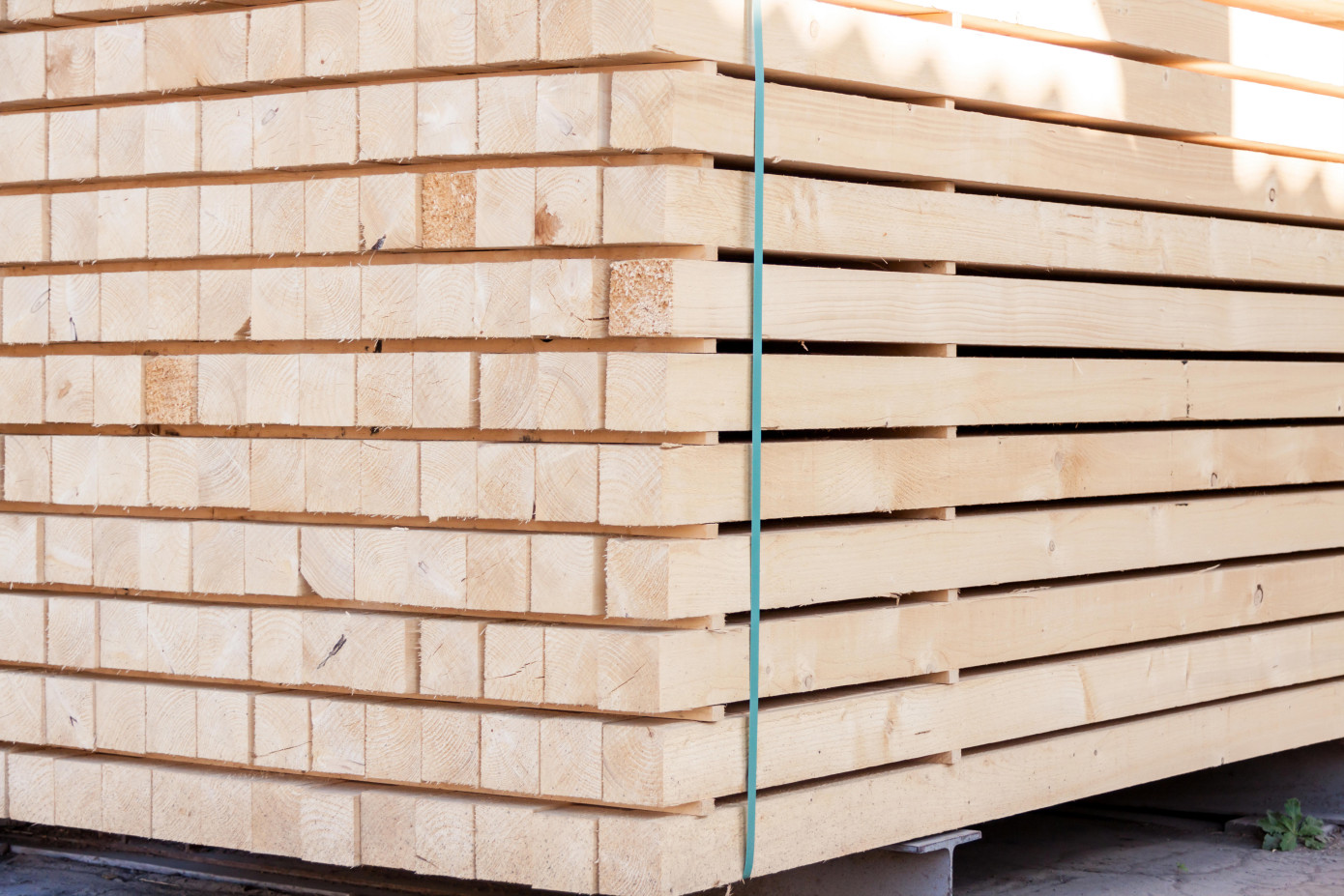 Softwood lumber prices drop by 5% in May amid broader PPI decline