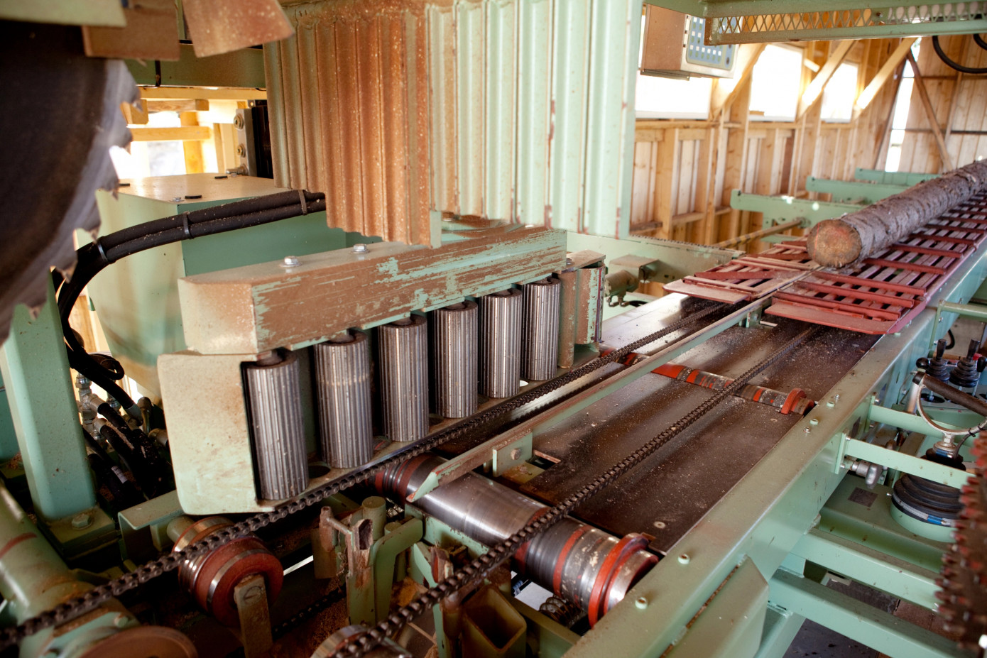 Japanese sawmills cut output 8.8% in January