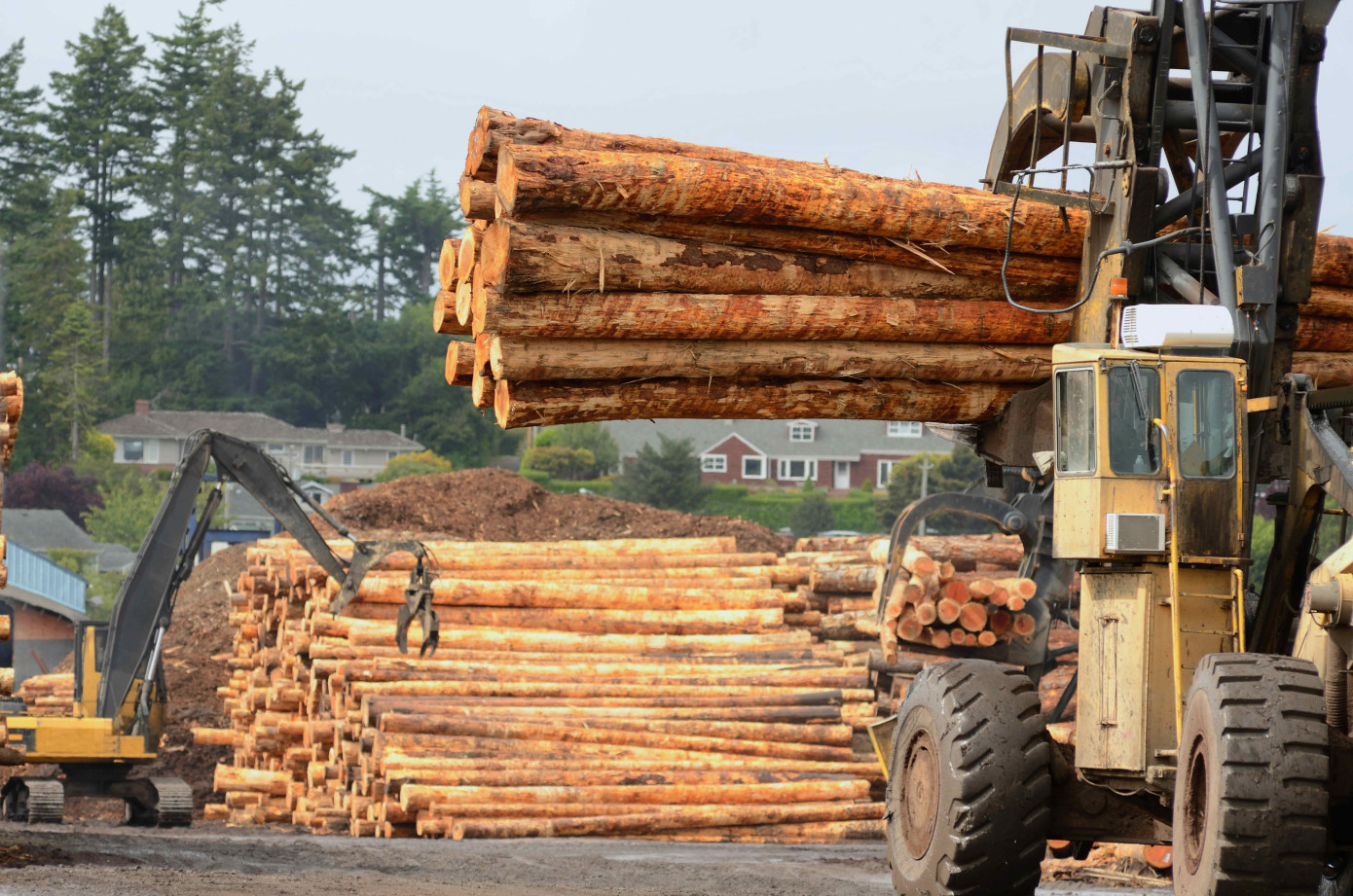 U.S. log exports to China stop entirely by July