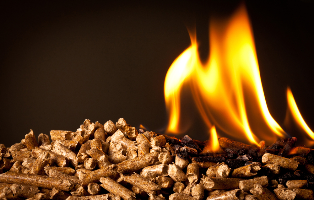 Wood pellets and wood chips dominate in Canadian bioheat sector